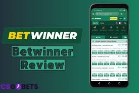 Everything You Need to Know About Betwinner 5 Everything You Need to Know About Betwinner 5