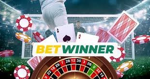 Discovering the Thrills of Betwinner A Comprehensive Guide